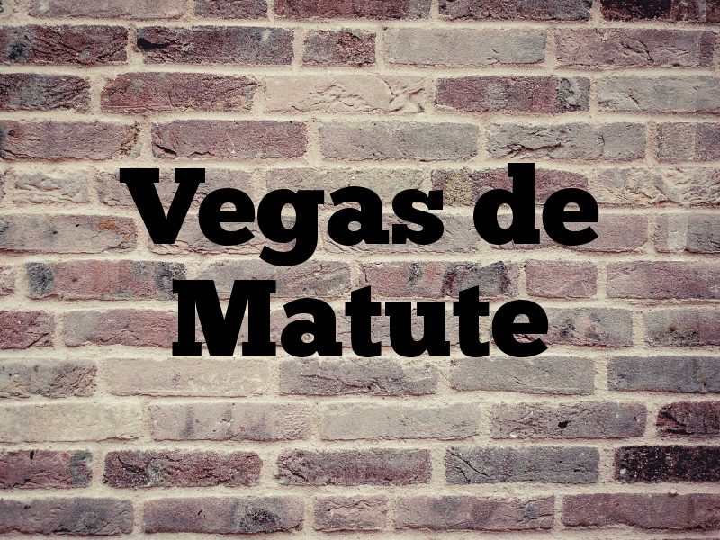 Vegas de Matute