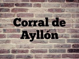 Corral de Ayllón