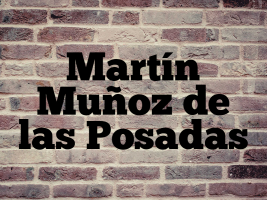 Martín Muñoz de las Posadas