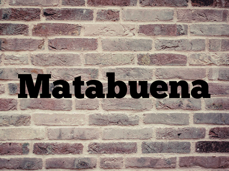 Matabuena